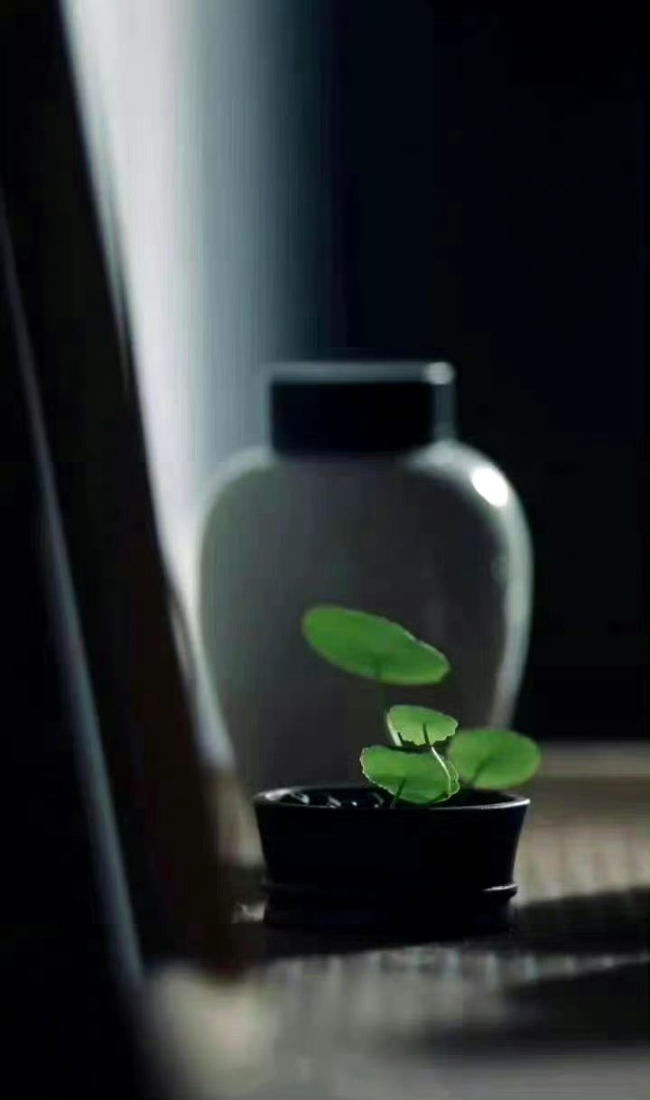 “弘一法师的话： “人这一生总有人在渡你，遇见，是因为有债要还了，离开，是因为还