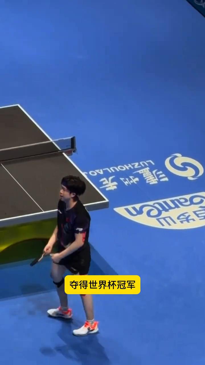 世界名画。
日乒男队冷漠死死盯着王楚钦庆祝，王楚钦4：3战胜松岛辉空，夺得世界杯