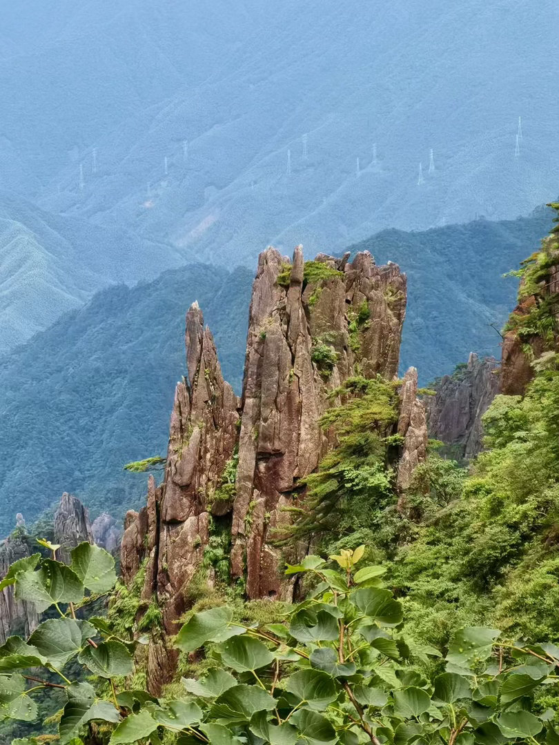 每日一善 人生的道路从来不会一成不变，有坦途，也必然有曲径；有阳光，也必然有云雨