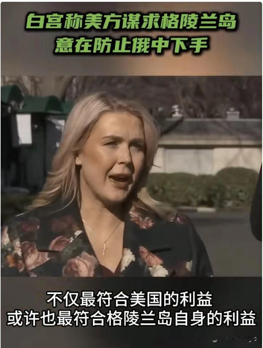 当地时间1月12日，白宫新闻秘书莱维特在记者会上表示:“美国总统特朗普有意将格陵