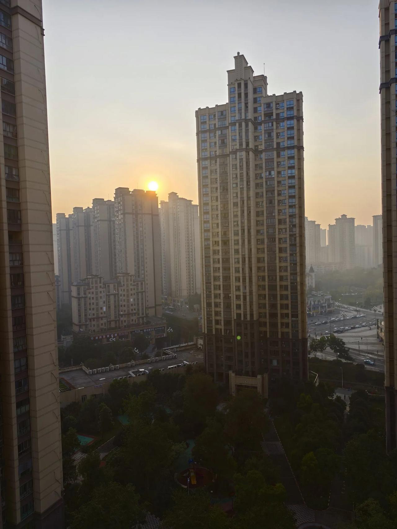 喜见艳阳
        ——南木子
绵绵数日雨不停，
终于迎来艳阳景。
正是周