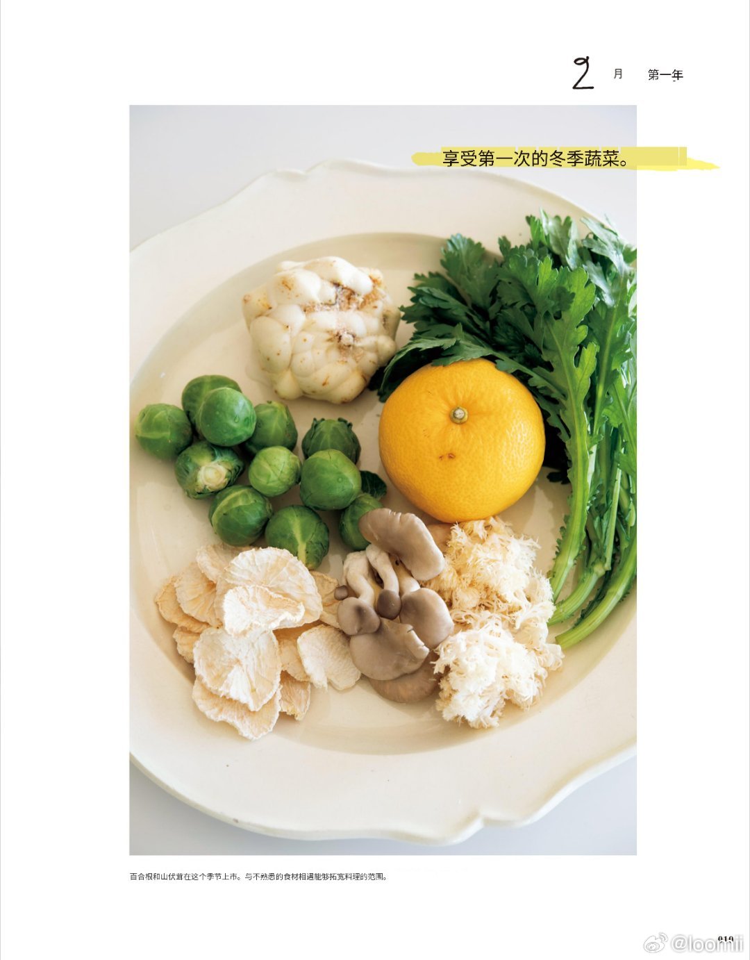 《&Premium》 “& Cooking” ， 🫛跟着季节慢慢吃 