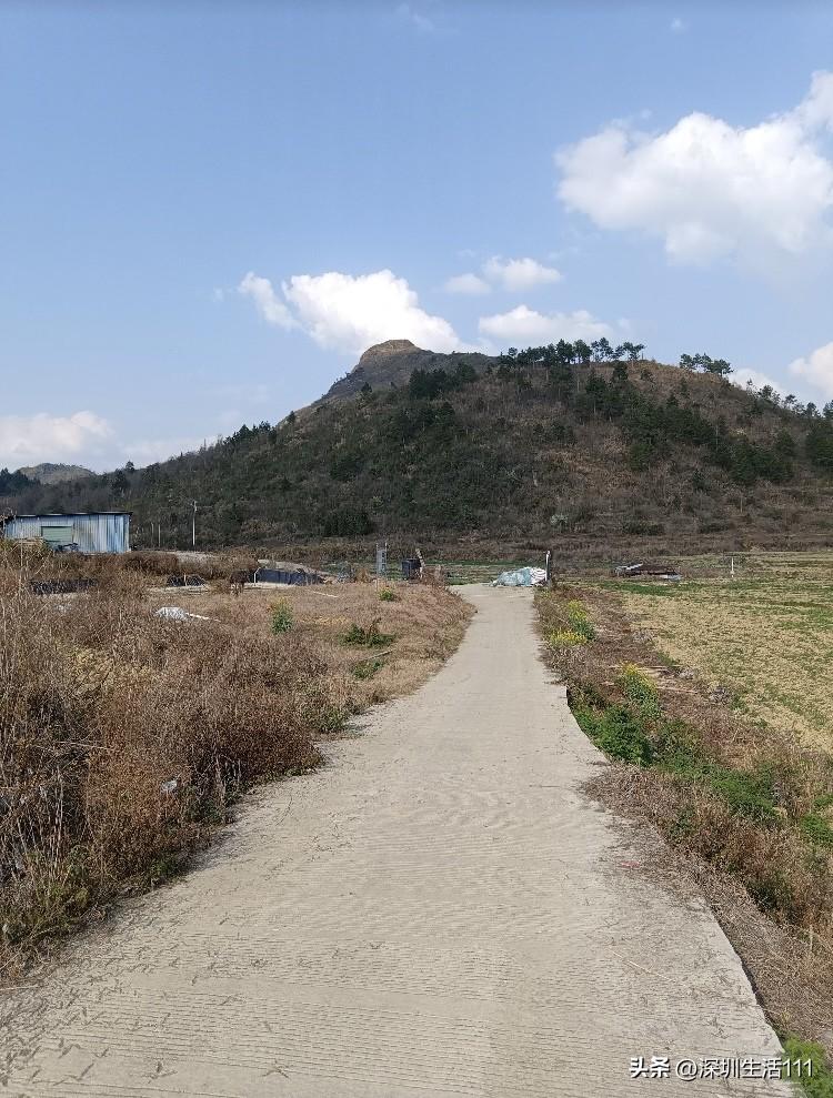 在广东，外孙打破个碗都要赔吗？

今天和小区里一个女人聊天，她说她前几天带孩子回