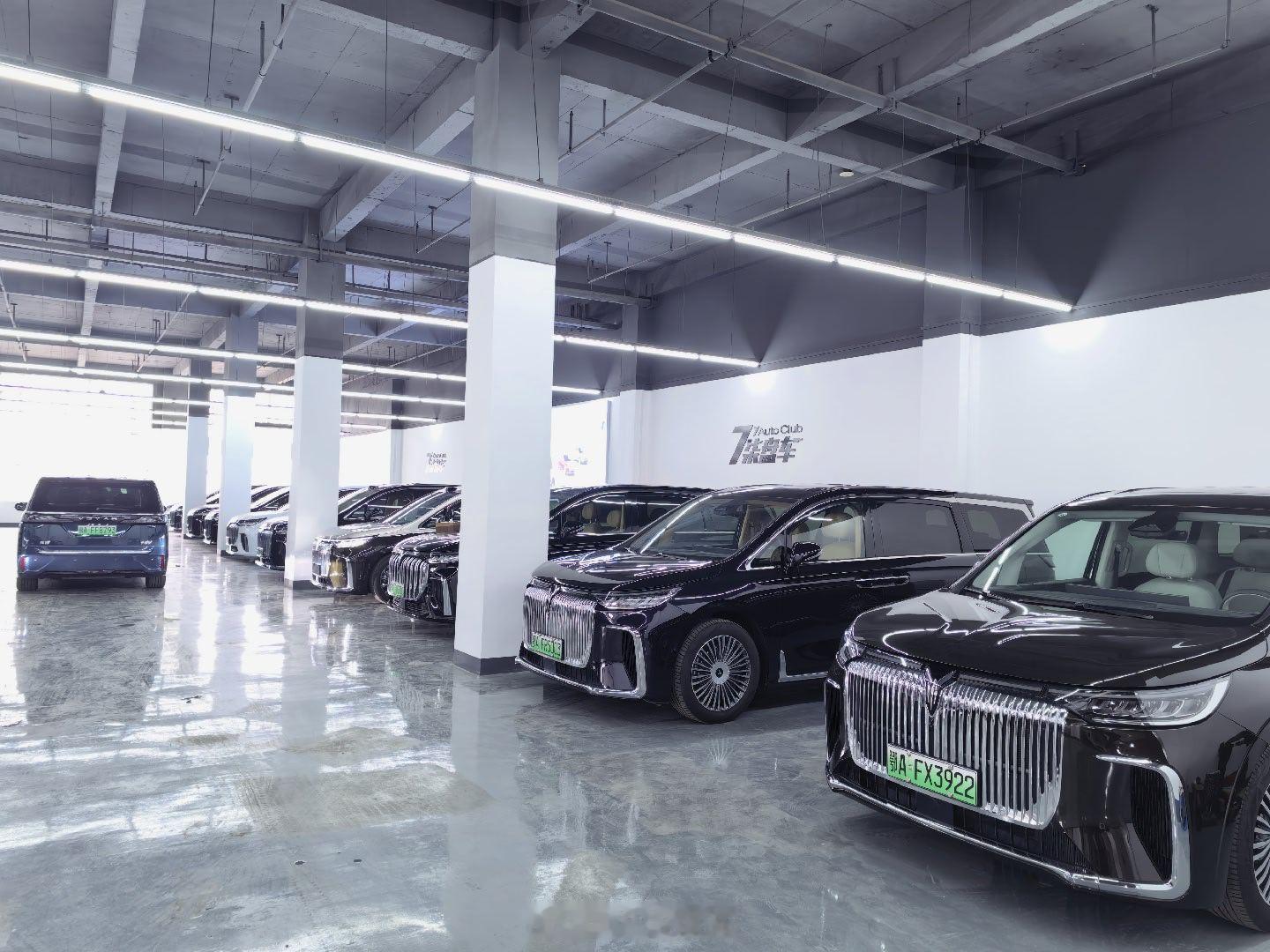 店里岚图现车40余台，喜欢您来呀 武汉