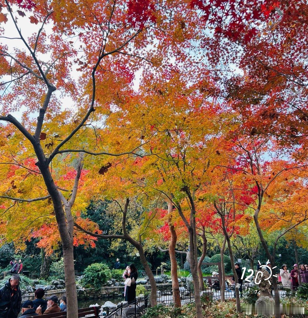 感觉这几天要降温了，赶紧的往外溜达溜达……       