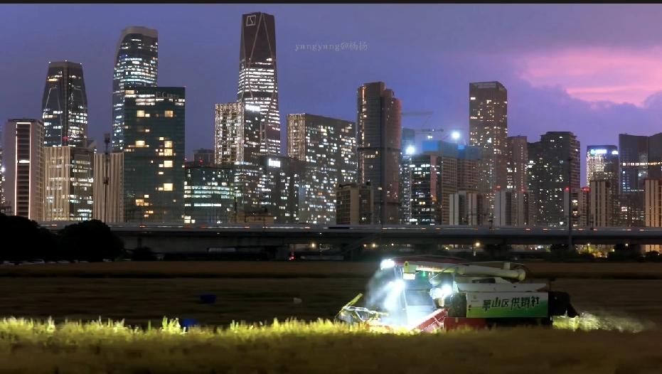 在杭州，有这么一副景象。高楼大厦、农村农田，都在相互交织在一起。

这就是终于实