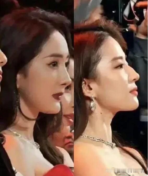 其实认真对比一下，刘亦菲的五官也没有出彩之处，驼峰鼻影响了她整体的气质，这个侧颜