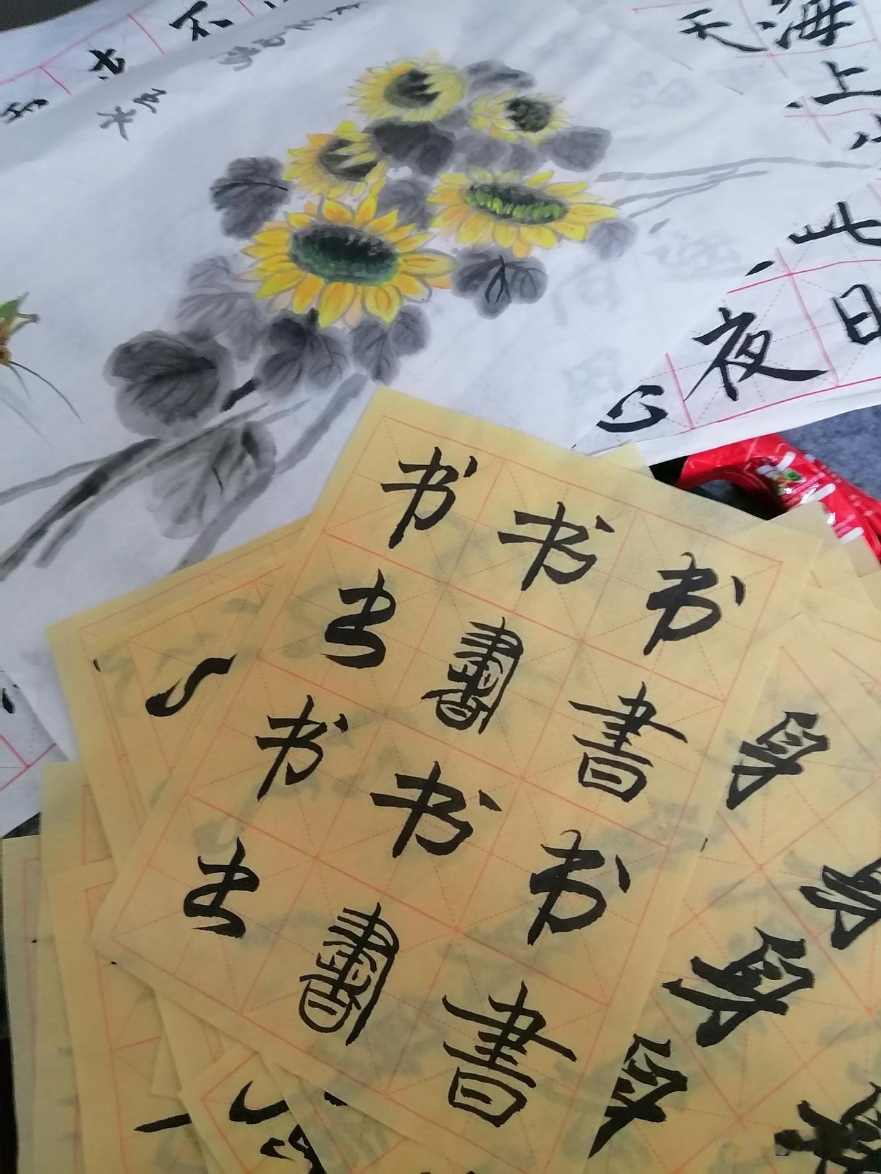 曾经练过的字，画过的画，今天我准备都扔了！我就不带过去新居了。

过去那边，再重