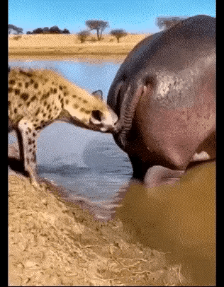 土狗你这老六，这下有心理阴影了吧！