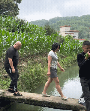 抓鱼是假的，潜水水平是真可以![赞]