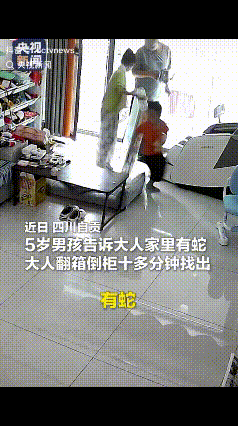 “小小年纪火到央视了！”近日自贡，一5岁男孩玩耍时发现屋里有蛇 ，家人一开始不信