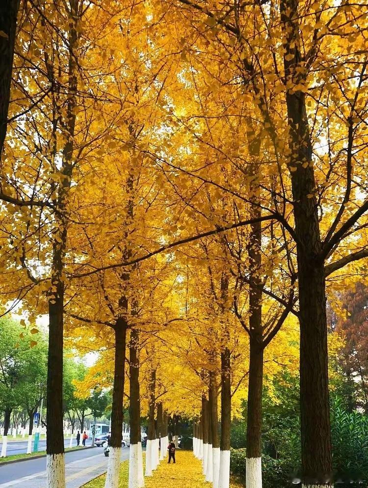 心里话          生活不是选择而是热爱，只要没影响到别人，只管放手去做。