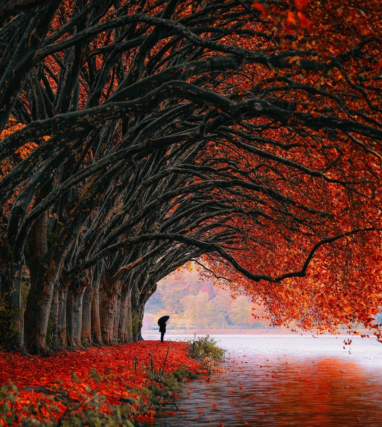 中年女性们，按摩店里的生活
她们大多三四十岁，以前在超市上班，长得都很普通，现在