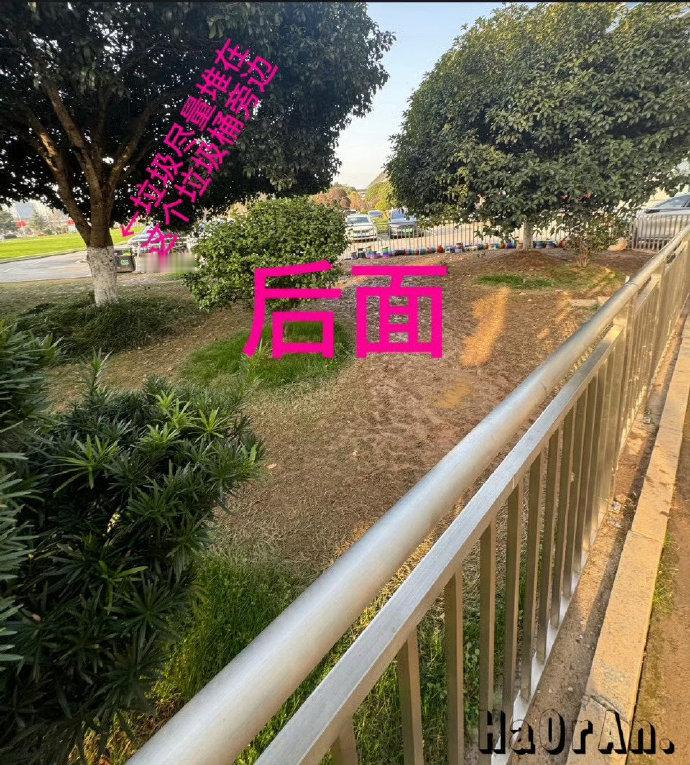 迪丽热巴好粉丝也好！！粉丝接机热巴后自行把现场遗留垃圾全部打扫干净了🧹而且还二