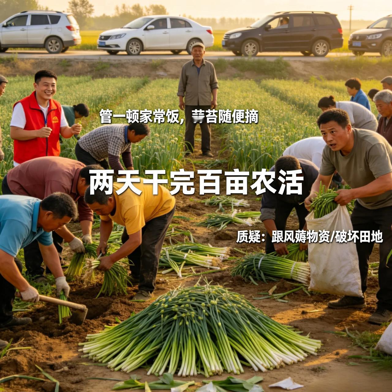 越想越现实！千人扎堆帮农户摘蒜苔，表面全是善意，背地里争议早已吵翻
 
现在的很