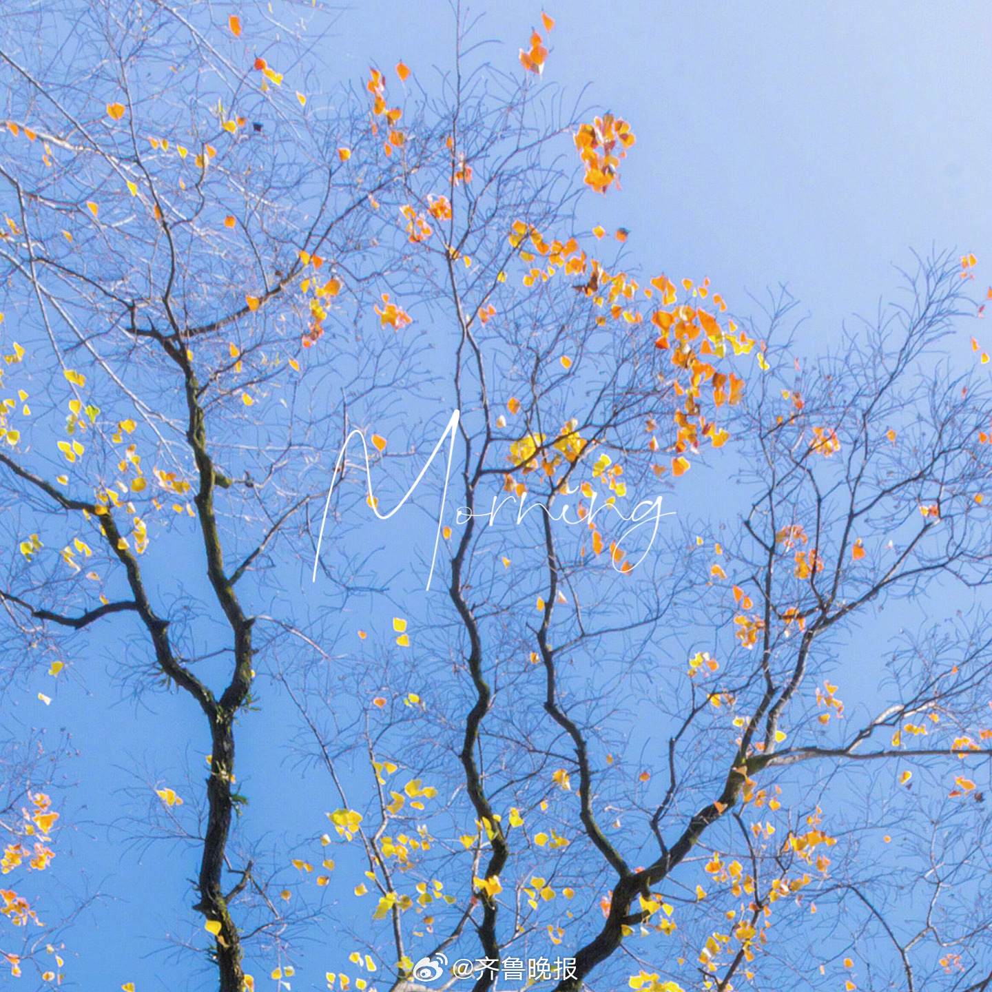 你对自己的肯定是世界上最坚硬的铠甲#早安#