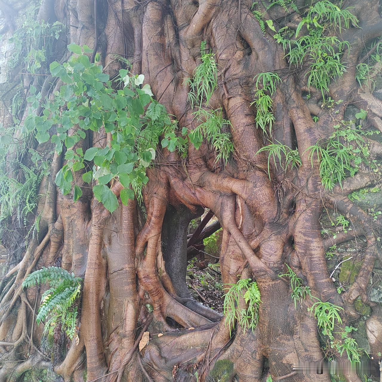 有人说现在的退休老人写头条就是是跟年轻人抢饭碗。当然，现在的就业形势严峻，每年都