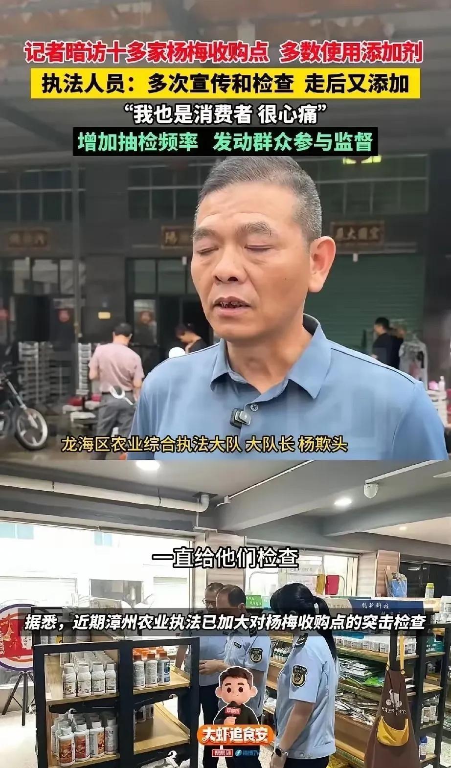 这下彻底闹大！漳州杨梅传遍全国，老实果农被黑心商贩害惨
 
这下好了，这件事不仅