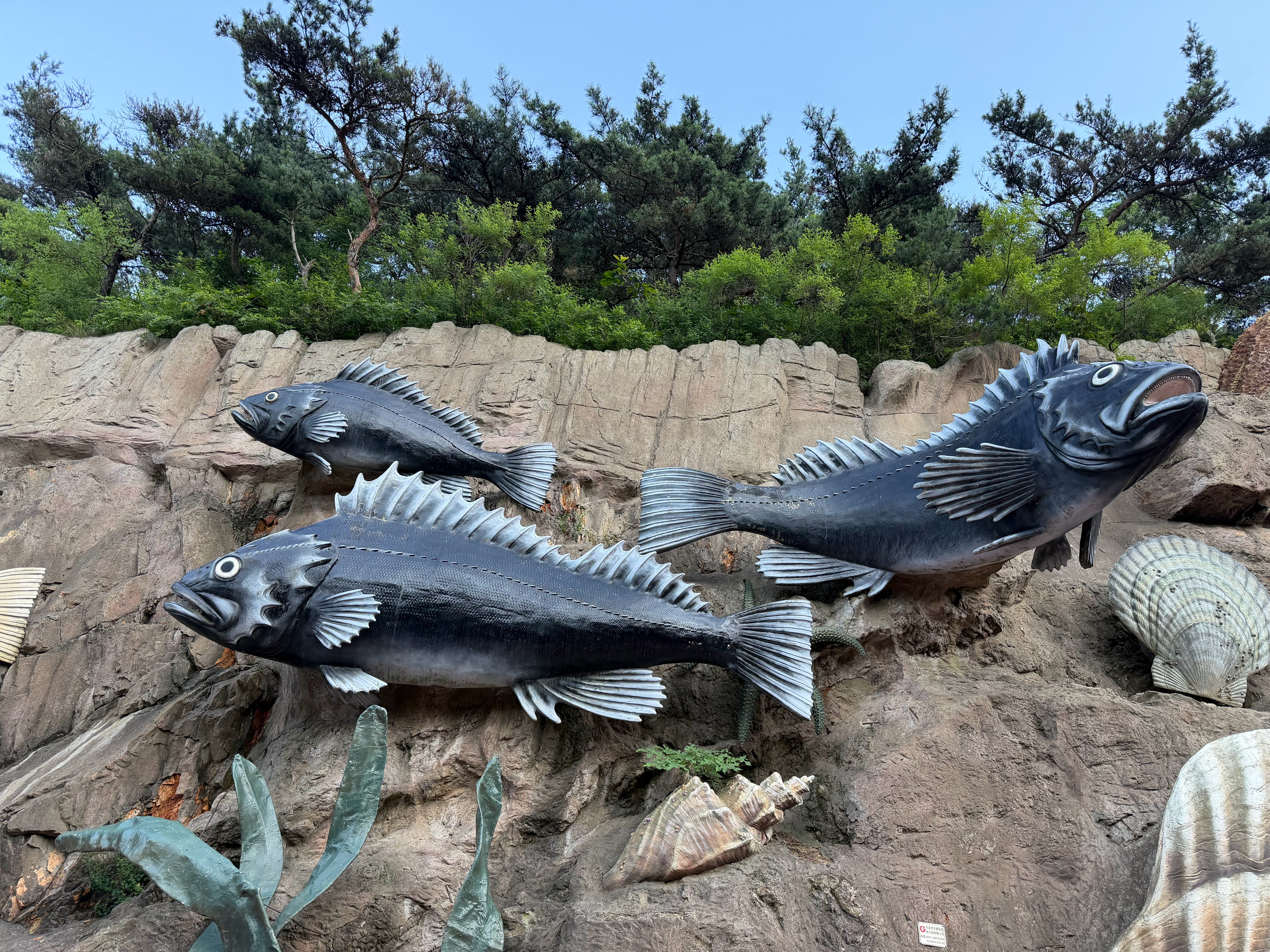大连特色海鲜都在这墙上了 大连·海之韵公园
