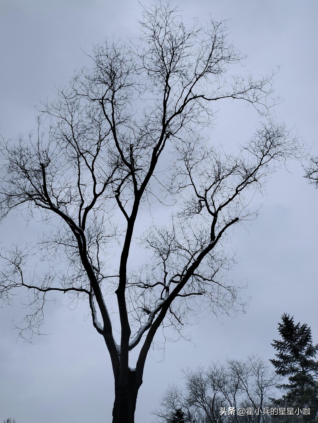 随手拍一张你所在城市的蓝天景色