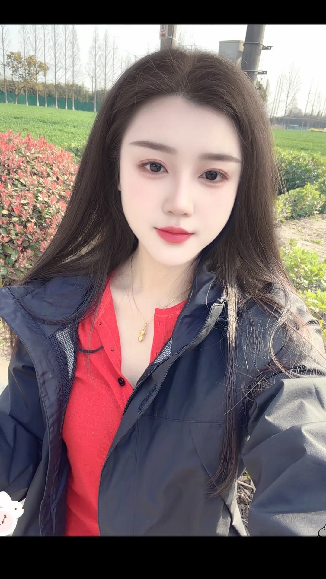 没有常青树，做自己的自由🌹