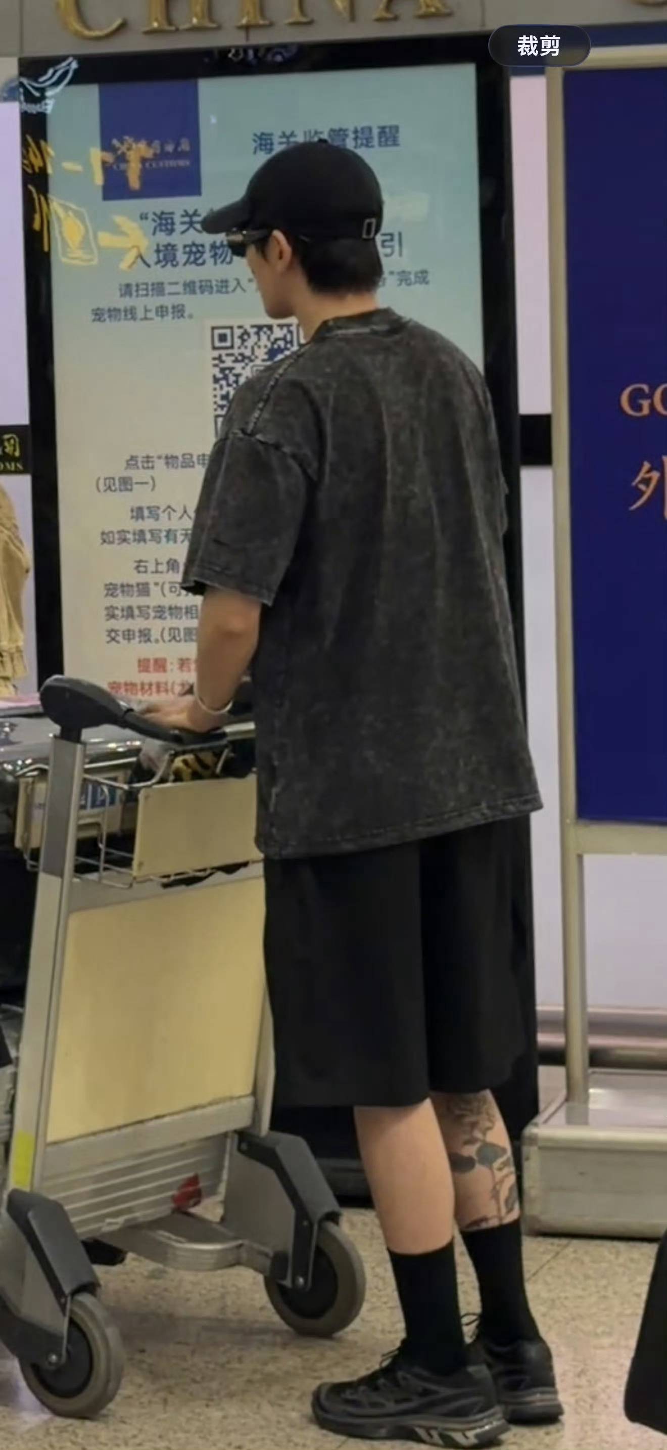 分享图片 