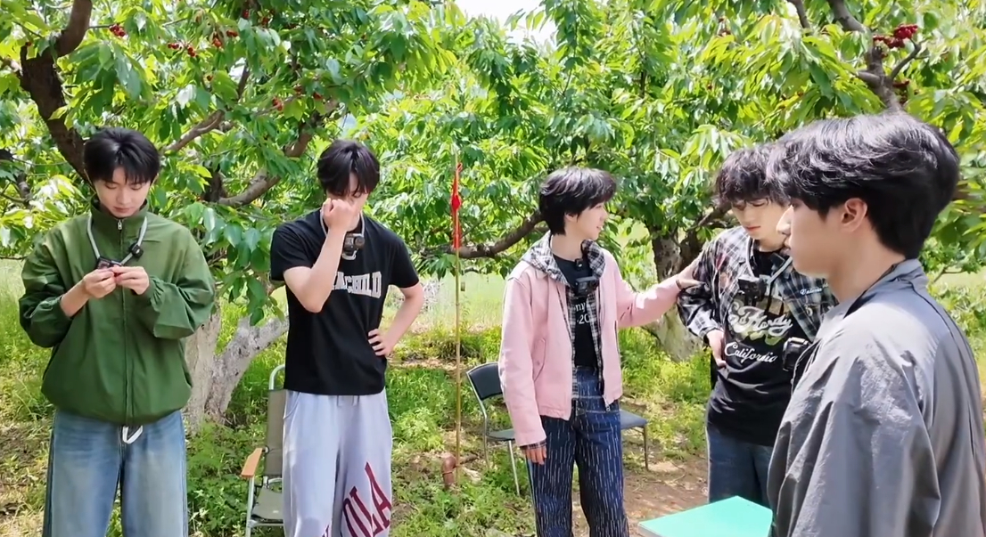 时代少年团采摘追逐战时代少年团收录夏日田园的限定快乐与惬意  时代少年团采摘追逐