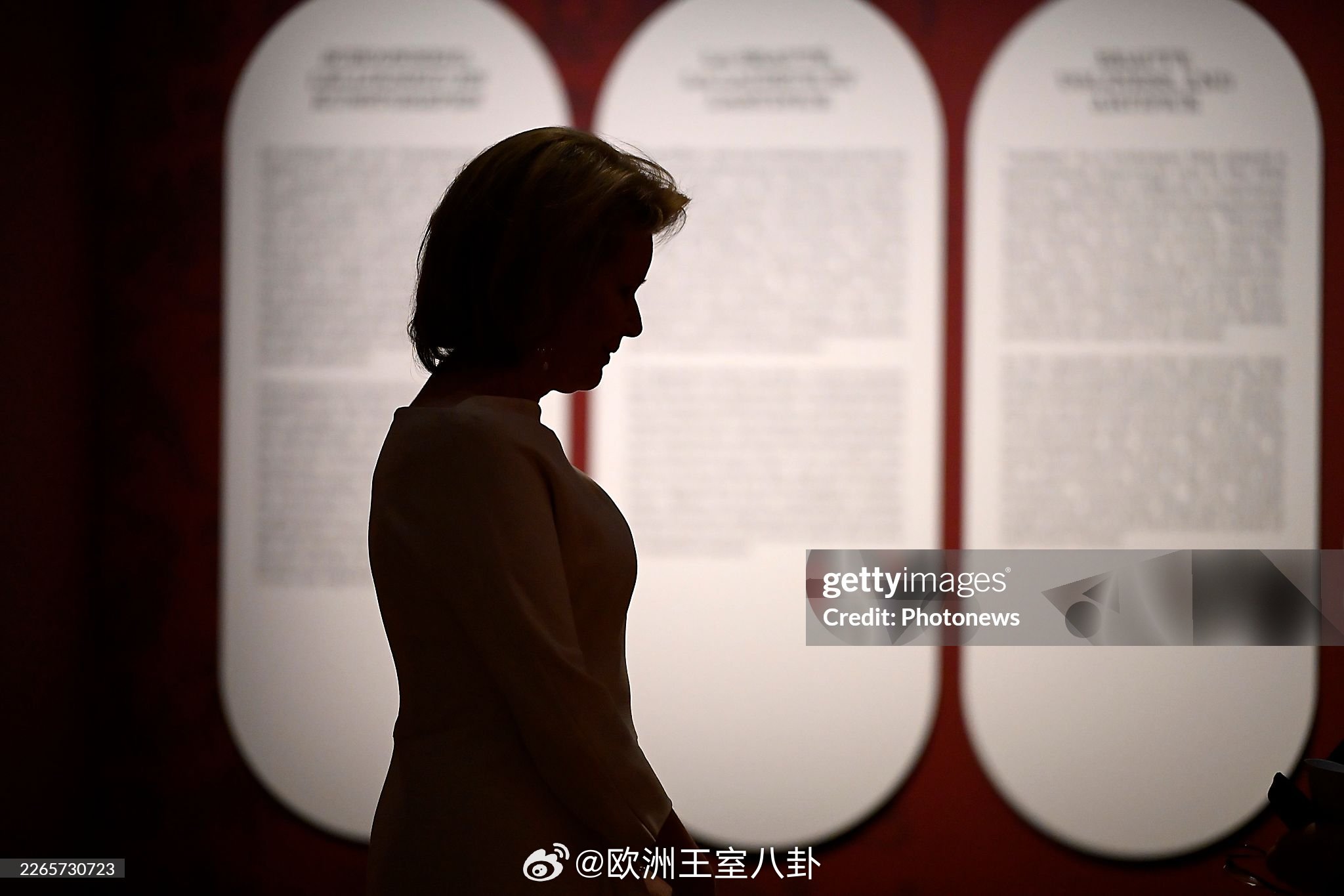 3.13 比利时王后玛蒂尔德参观展览，裙子来自natan 