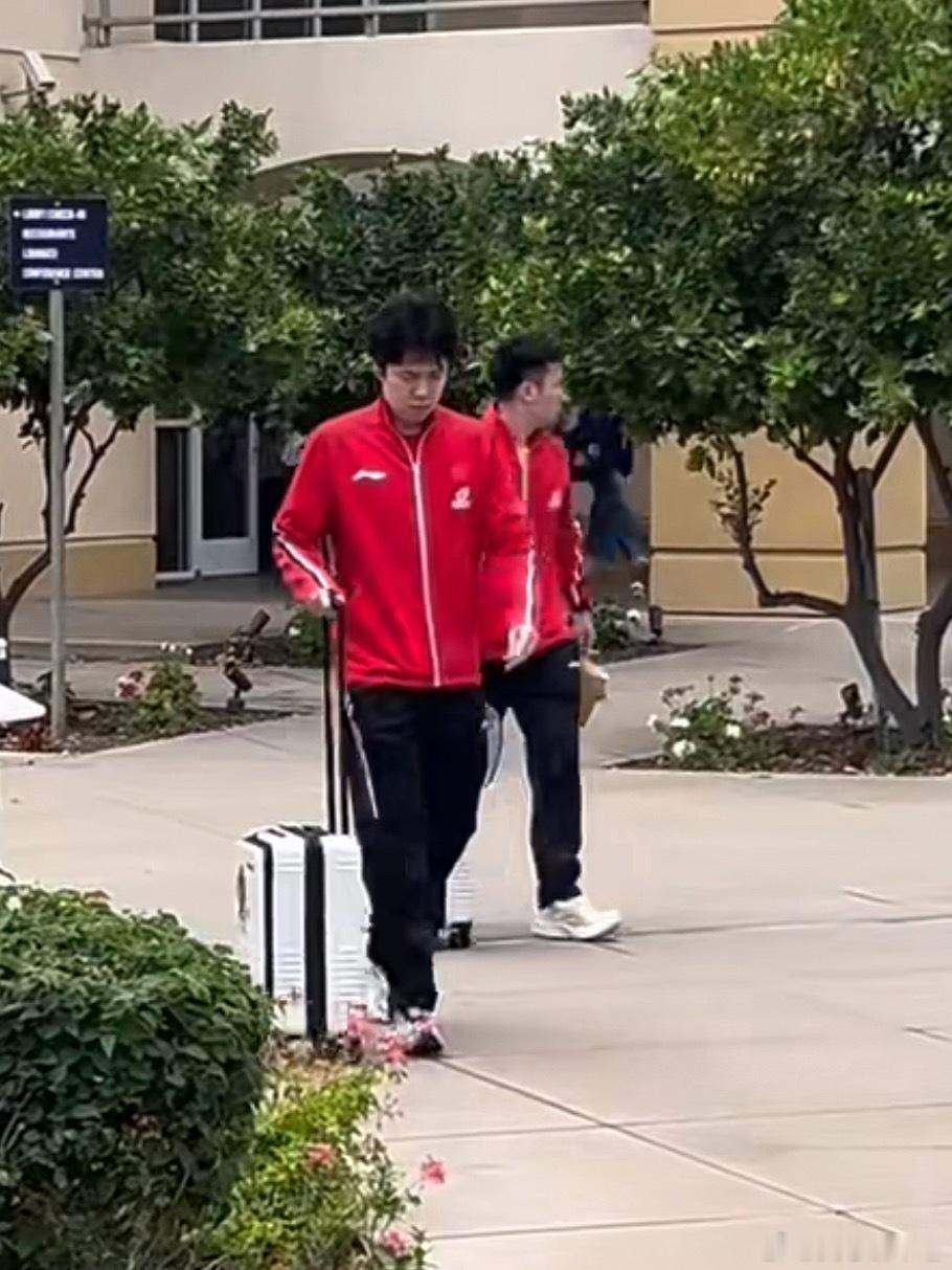 前后脚上训的莎莎和大头