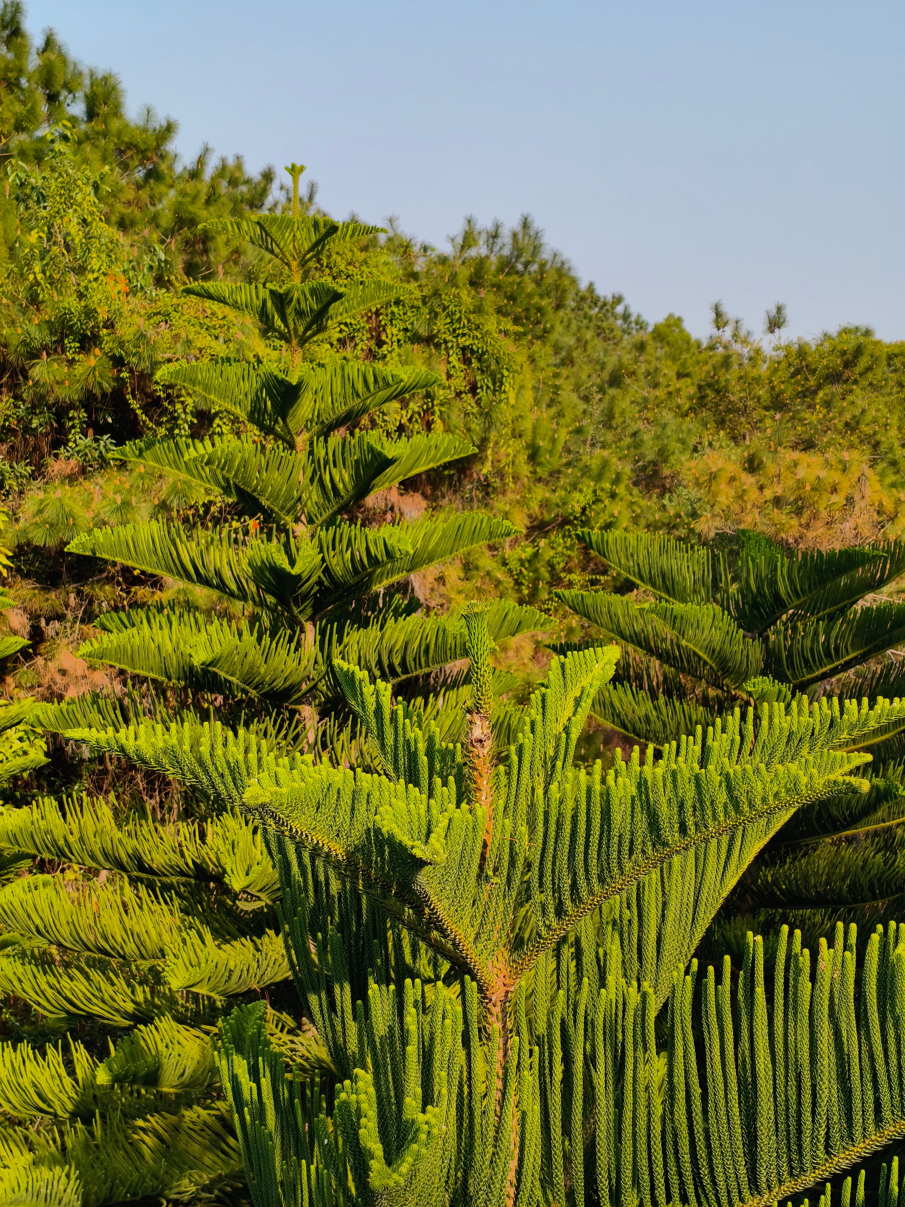 同楼层有人想把小孩自行车放在电梯口啊，开门一辆自行车占了1/3宽度，我直接给他丢