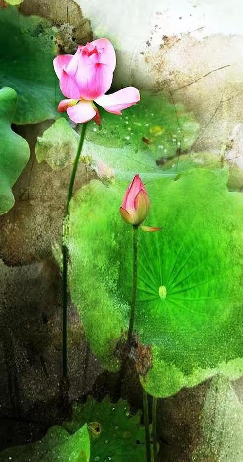 心宽一寸，福至一生，这是每个人都该读懂的生活道理。很多人过得不开心，不是生活太难