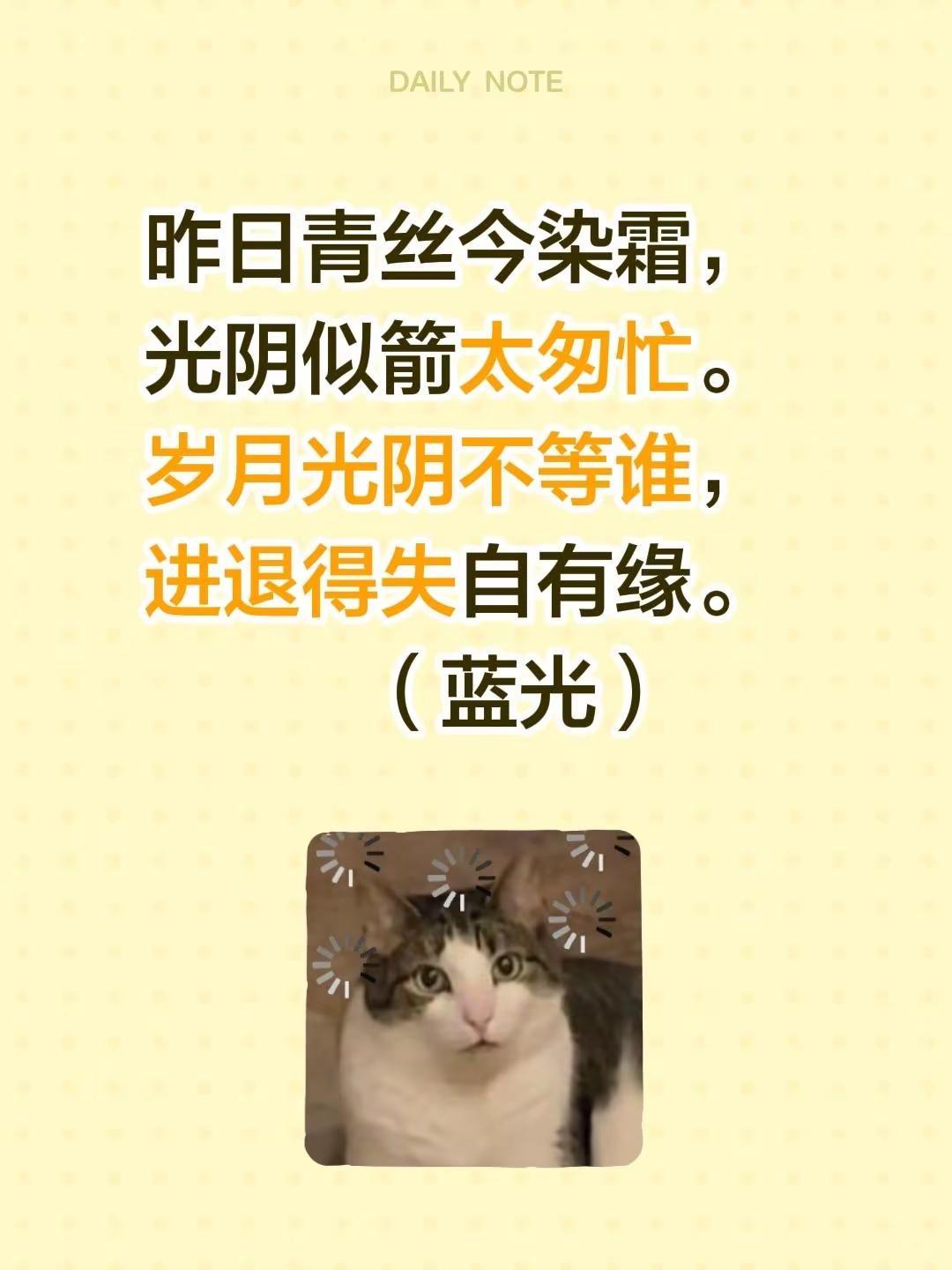 蓝光心里话。我评论了@苑举正 的作品：昨日青丝今染霜，光阴似箭太匆忙。岁月光阴不