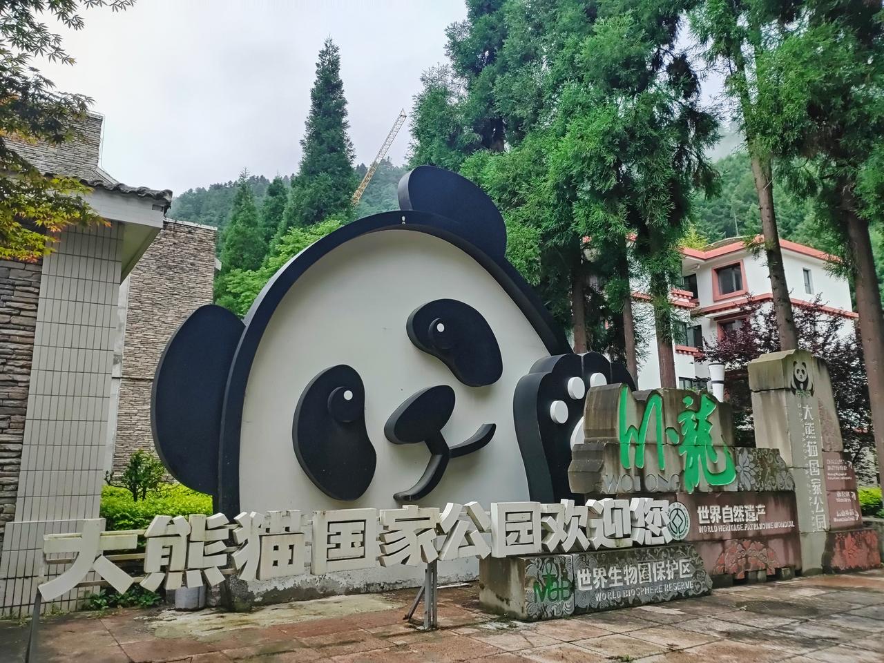 您知道熊猫还有哪些名字吗？
竹熊，食铁兽……
有趣吧！

今年夏天，我走进四川卧