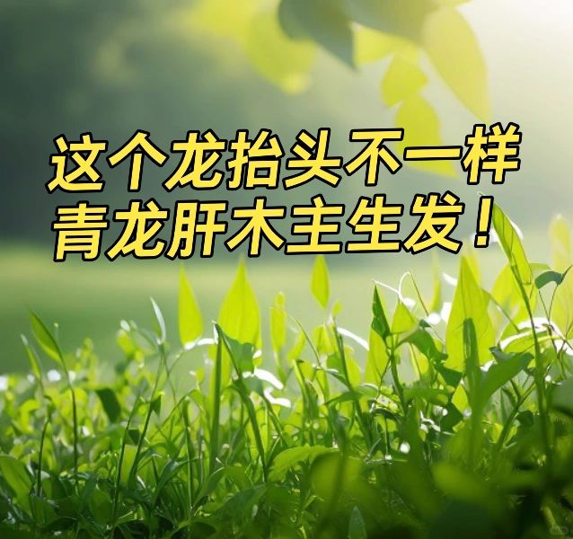 龙抬头养生这样开启 甲辰四季都是好时节
