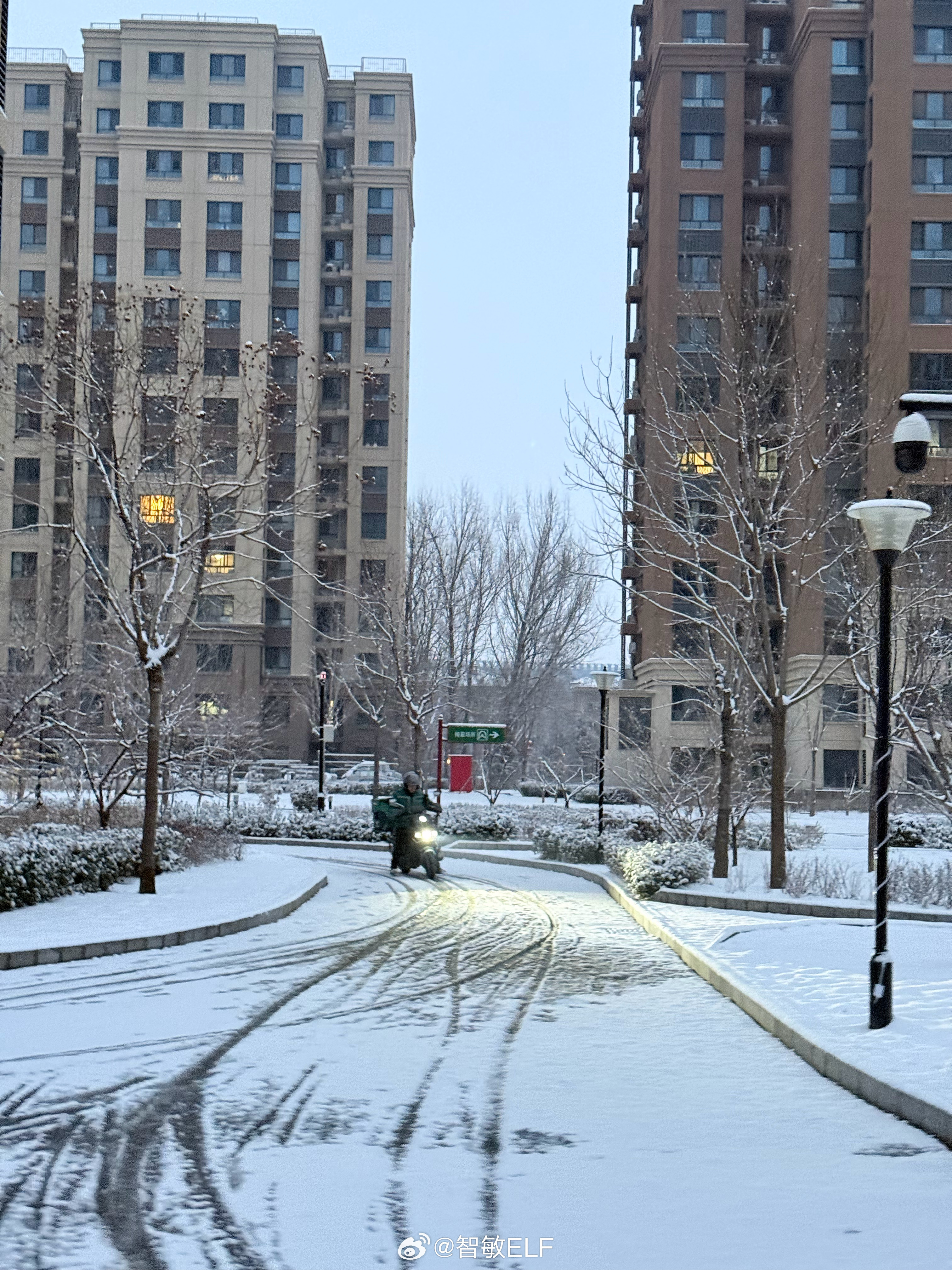 北京阳春三月这雪下的也太大了一点吧让我有种恍惚一下跳到了26年冬天