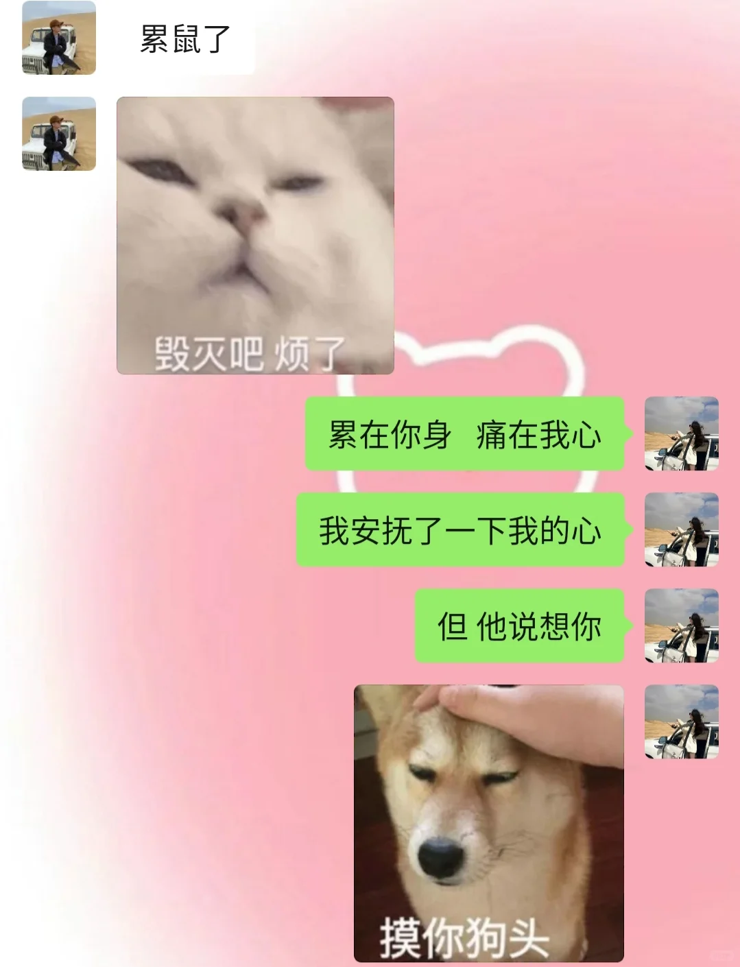 《成为有趣女友的第1⃣️3⃣️9⃣️天♡》