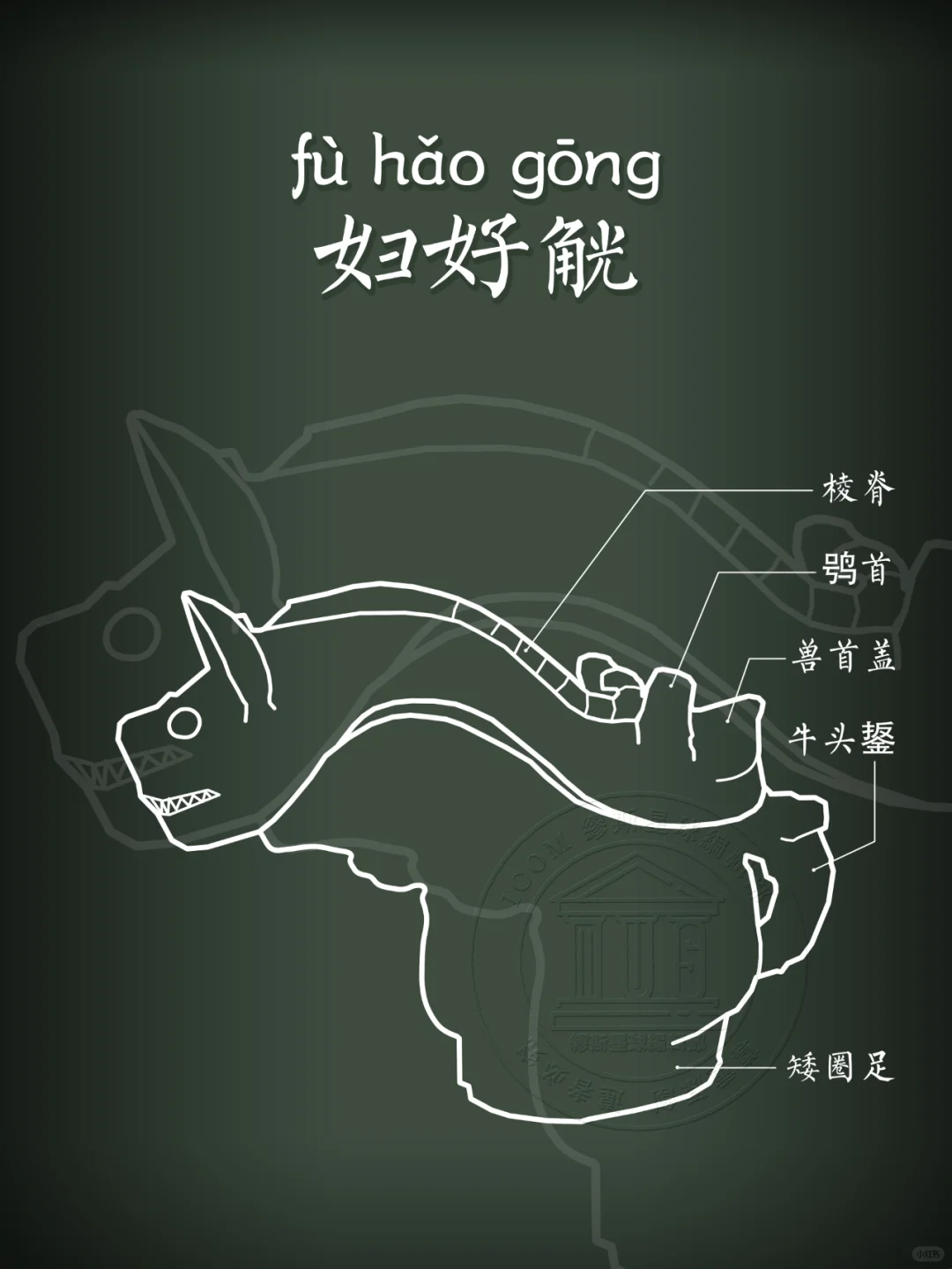 【妇好觥】它到底像什么动物呢