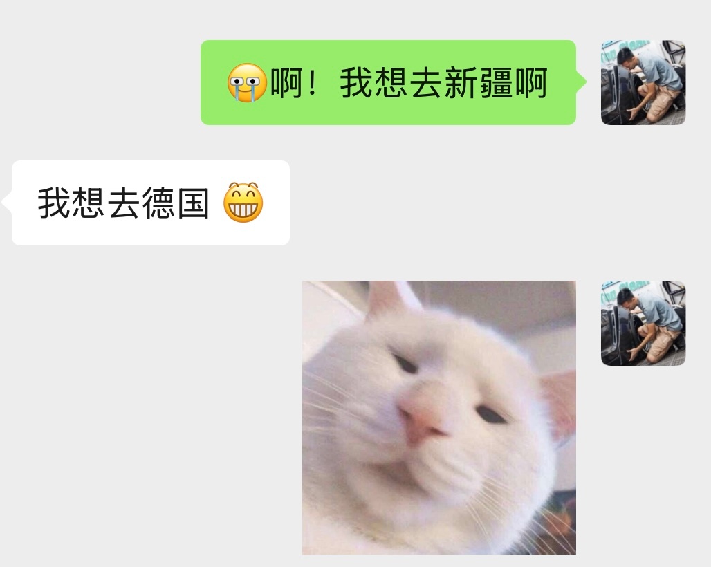 好消息 ：我终于等来了新疆的活动邀请！坏消息：8号我要跟小吴去德国10天 错过了