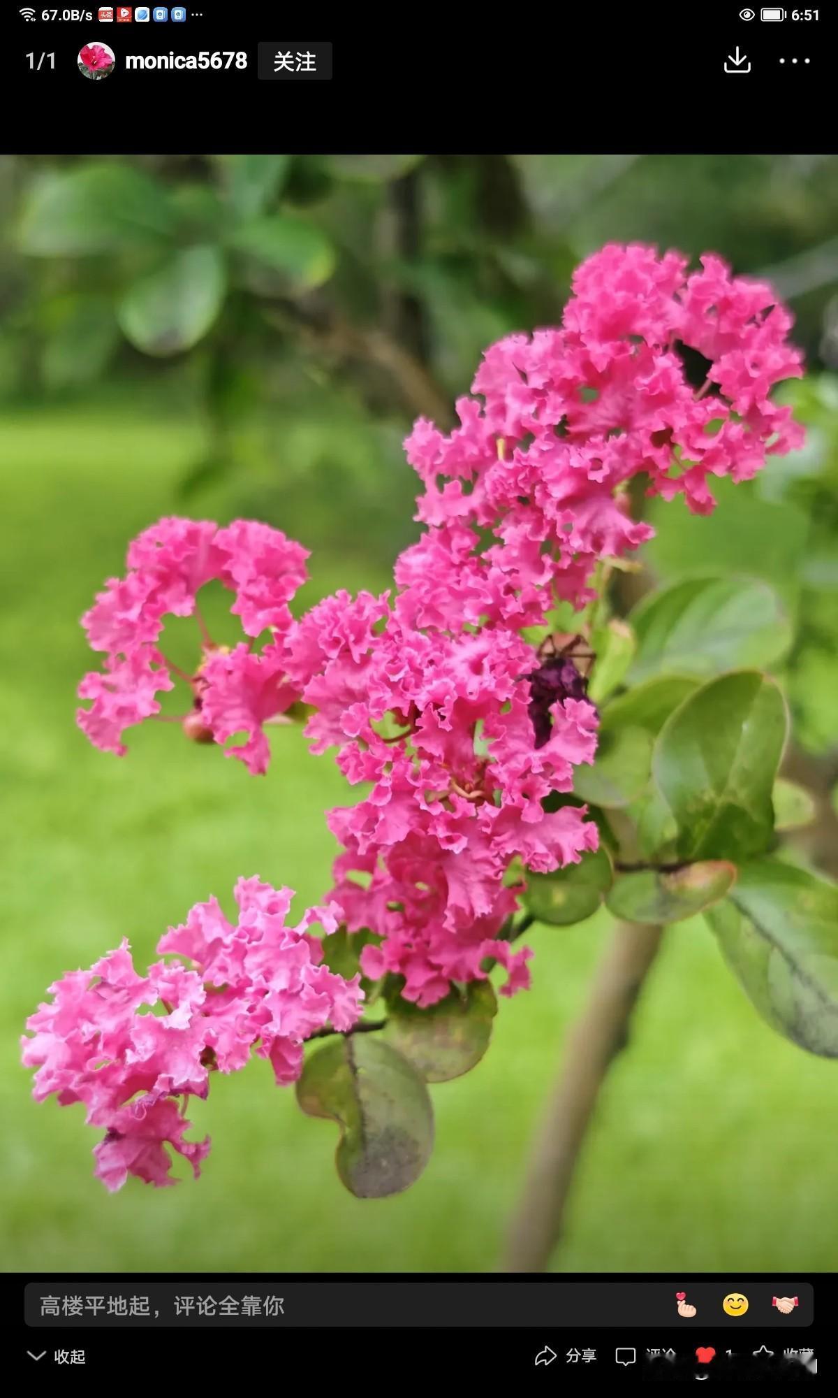 春风又绿门前柳，
柳缘花儿接着红。