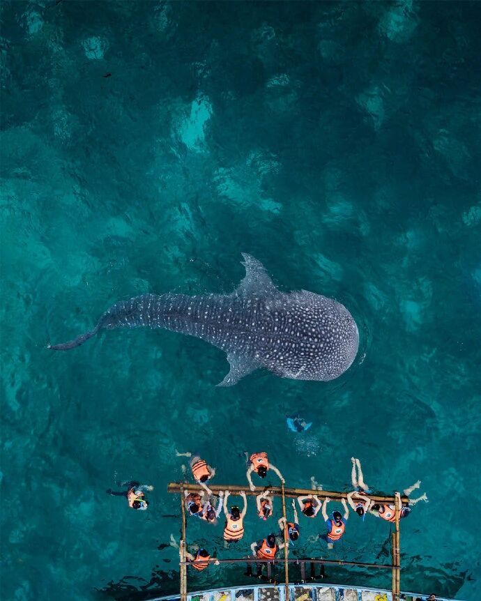 影像留住无法复刻的瞬间｜Karanikolov 