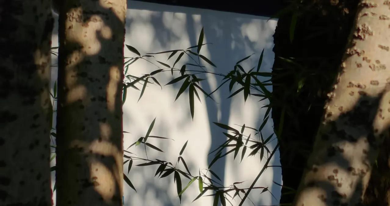 瑙鲁改名“瑙鲁”。
你没看错，“瑙鲁”这个国家改了国名，以前叫Nauru，更改后