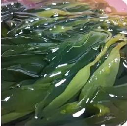 鲜海带
 
鲜海带被称作“海上长寿菜”，低脂高纤维，富含碘、钙与多种矿物质，性价