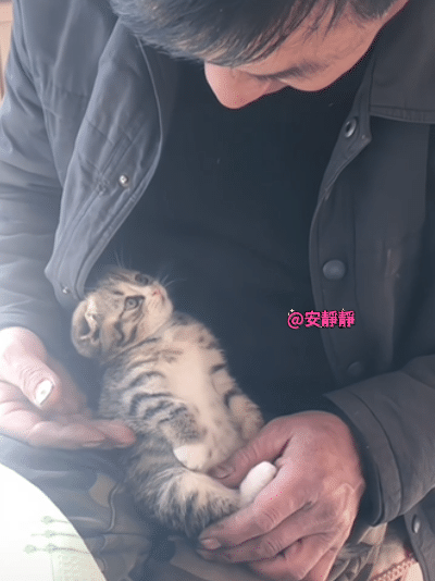 🐱：看吧，这不得迷死你[马思纯的微笑]