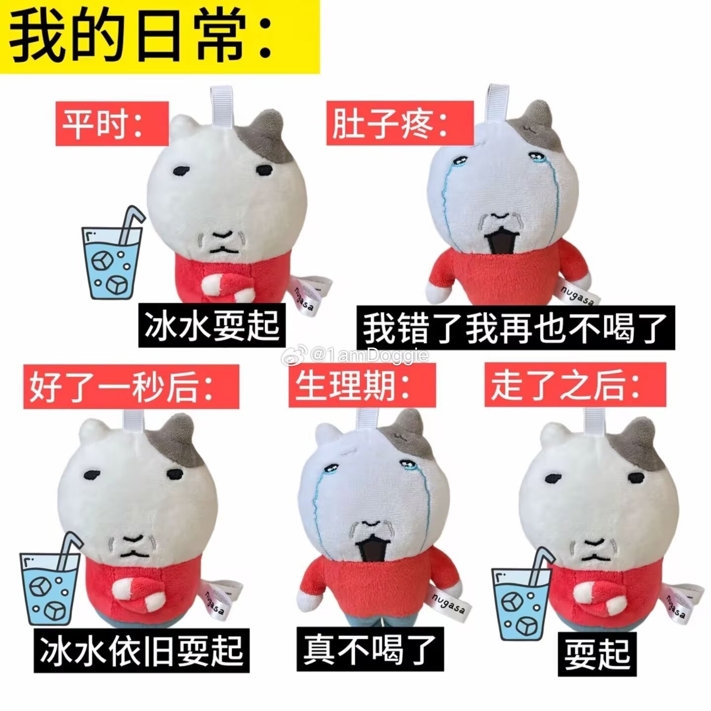 分享图片 ​​​