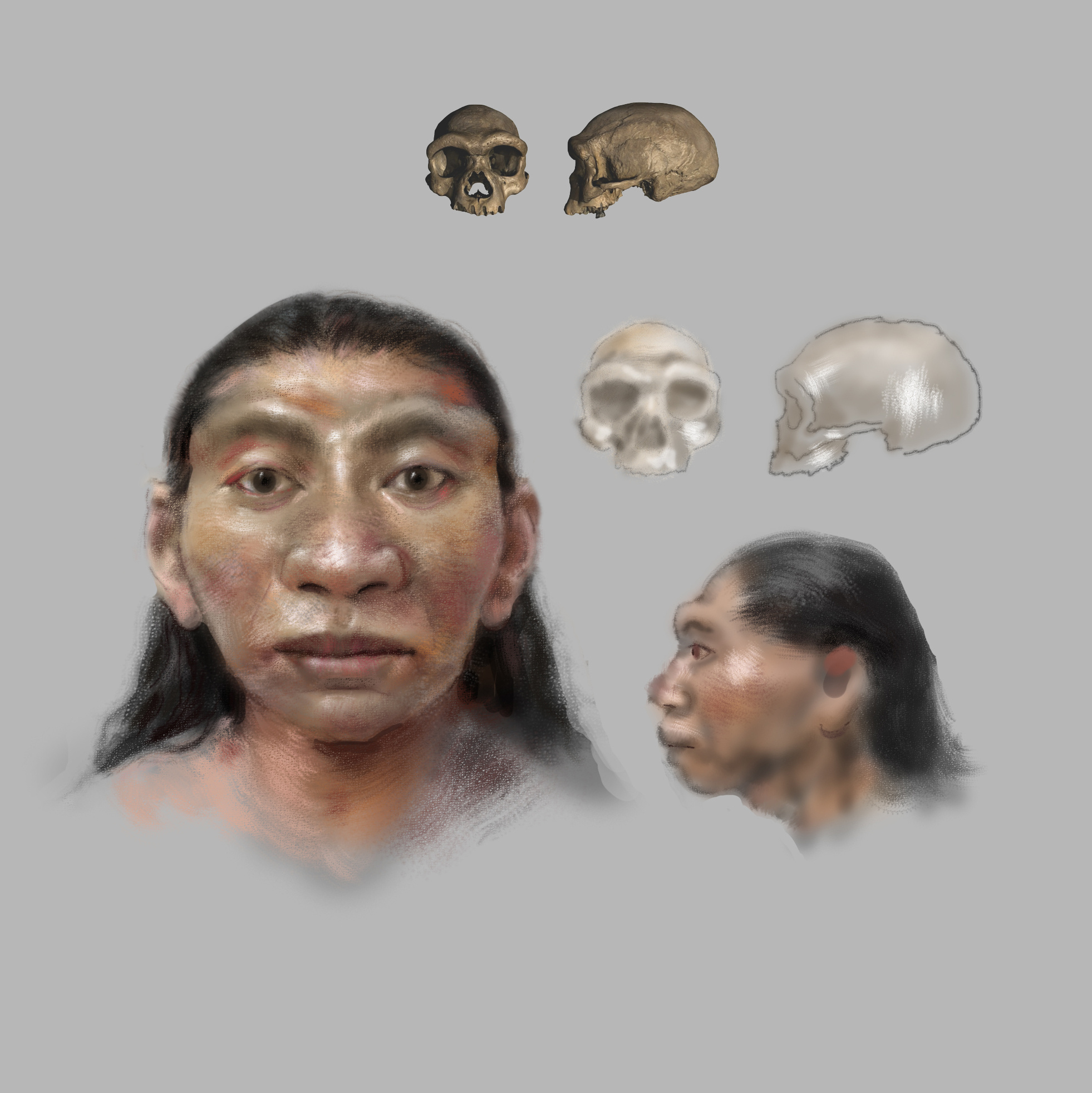 目前的哈尔滨龙人插画必定有他的道理，但是我想试画面相更亚洲些，随笔一张速写。 