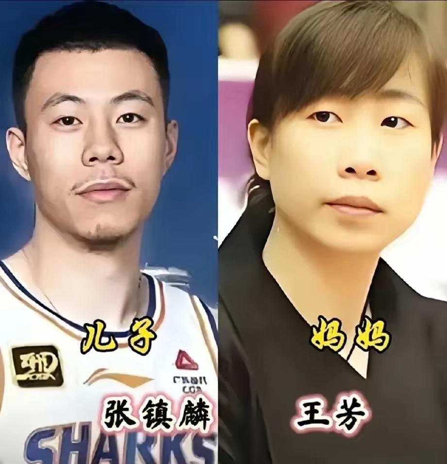 赛场上意气风发的体育健儿，背后都站着默默托举他们成长的母亲。一张张对比照，让人真