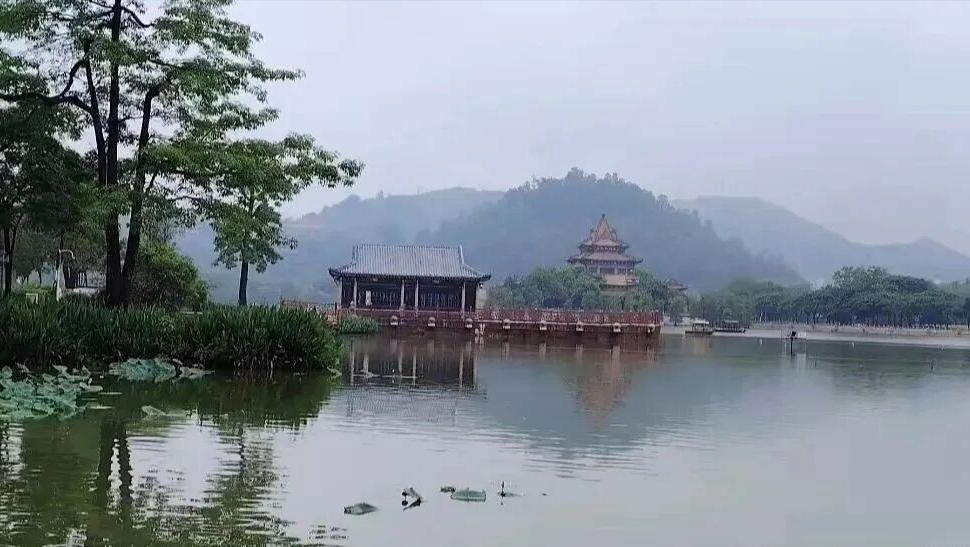 想要下半年运势顺遂，一定要来顺德顺峰山公园走一趟！广东人讲究的意头，在这里直接拉