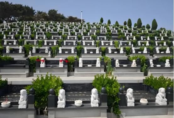 一位陵园管理员说:
“公墓只能使用20年，子孙不可能永远续费，到时公墓管理方会把