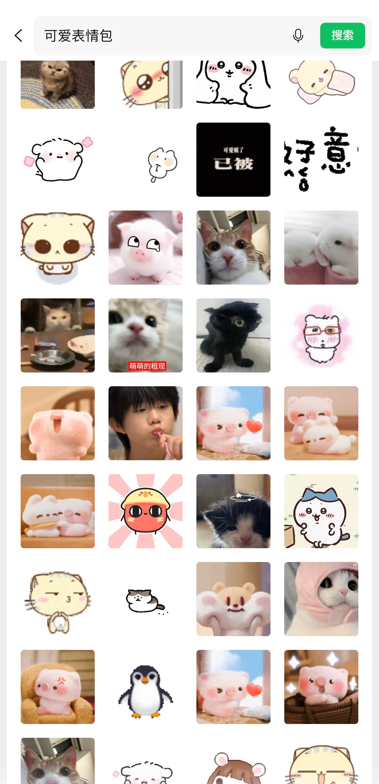 哇我在vx搜可爱表情包搜到了肘肘 夹在一众猫猫兔兔猪猪中间诶