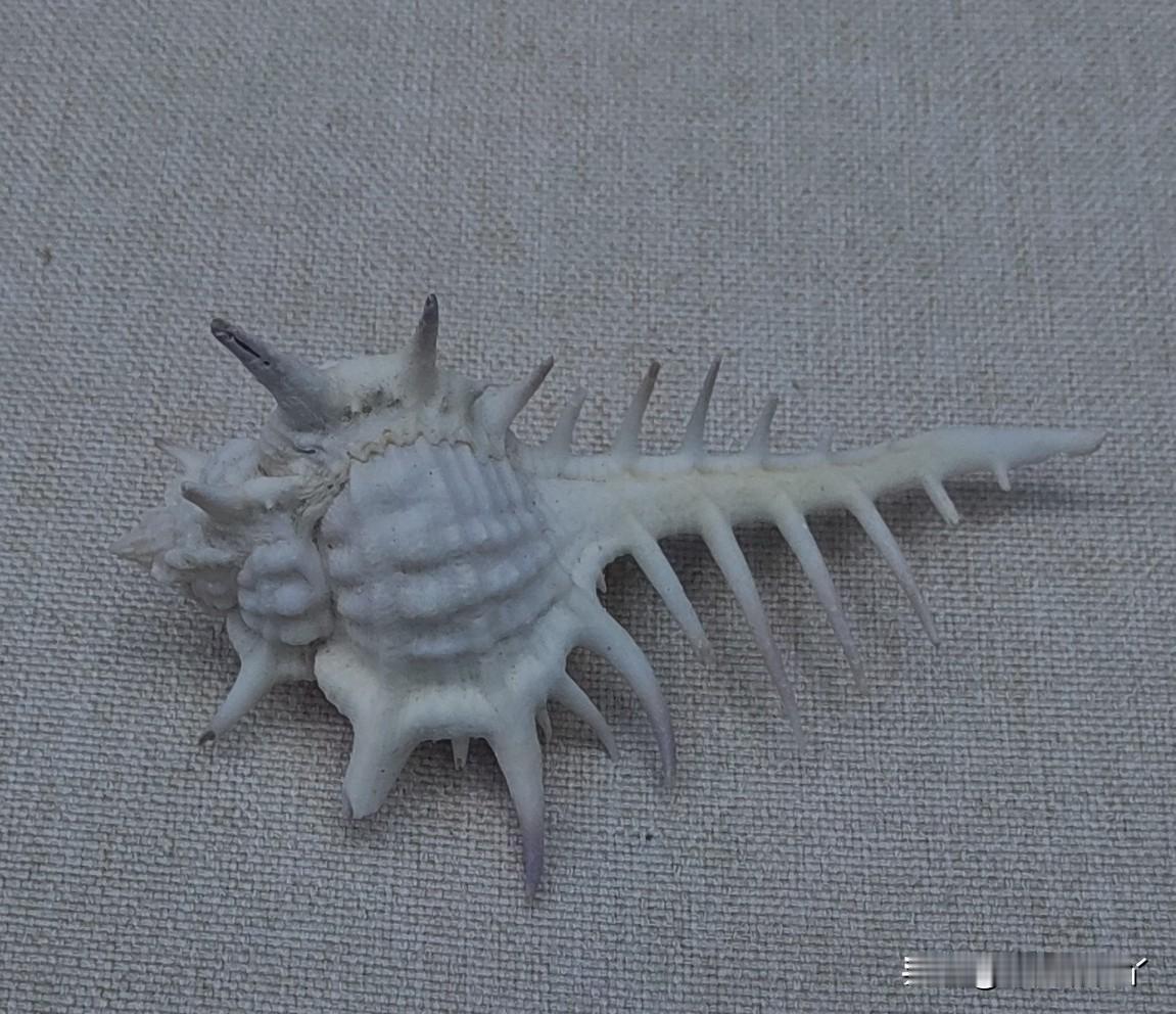 十几、二十年前，我有一个非常要好的同事。她老公事业有成，她生活品质很高，却非常低